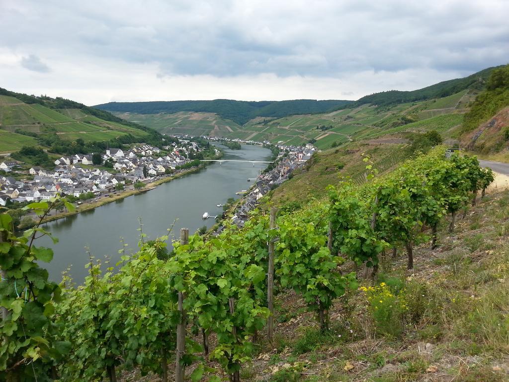 "Ferienhaus An Der Mosel" Zell an der Mosel Kültér fotó
